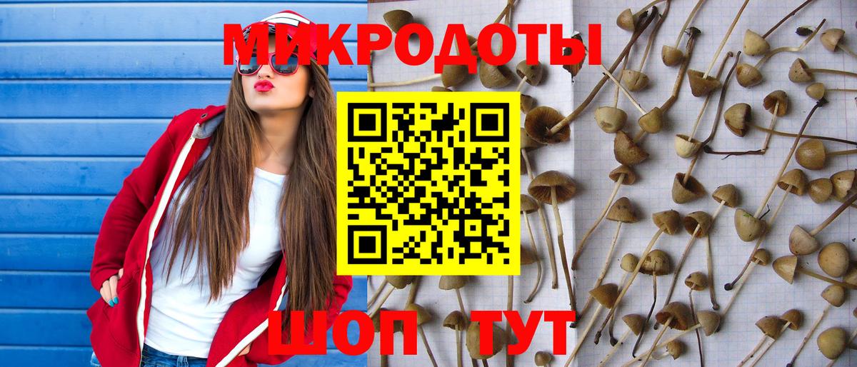 Псилоцибиновые грибы Cubensis  Вход с VPN  Тимашёвск 